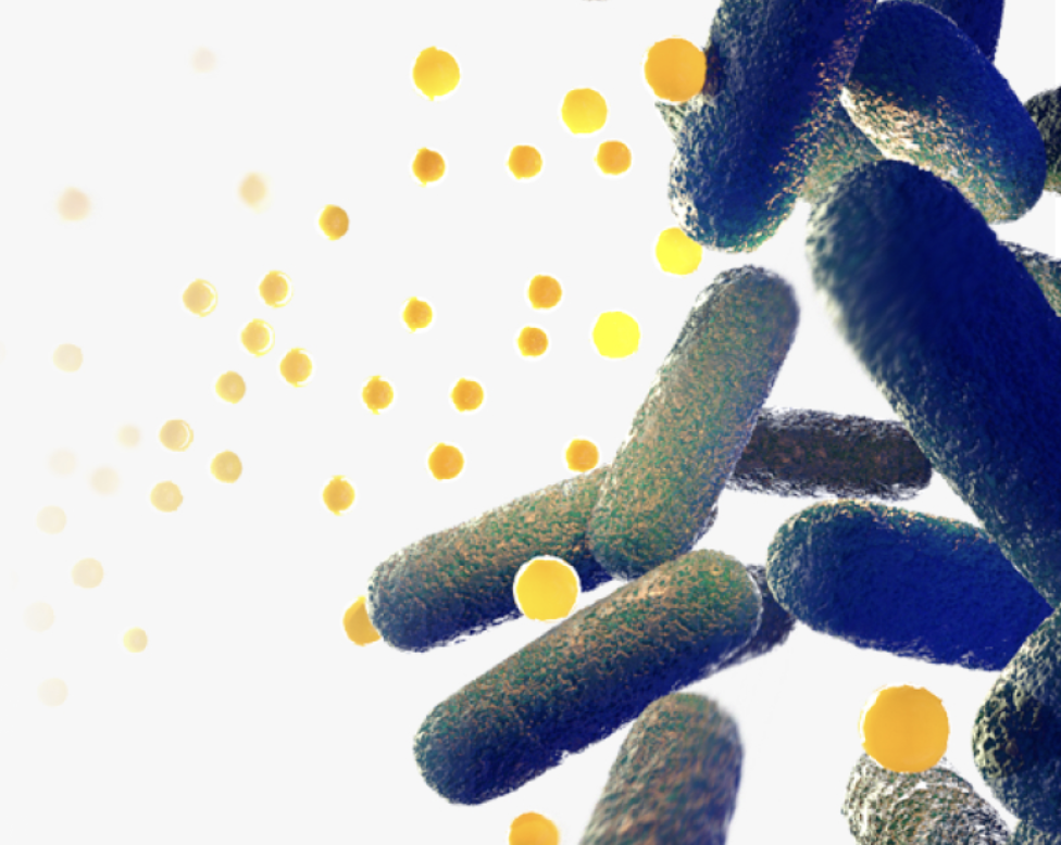 Clarametyx Biosciences Announces Positive Topline Data from Phase 2a Study Evaluating CMTX-101 in Cystic Fibrosis